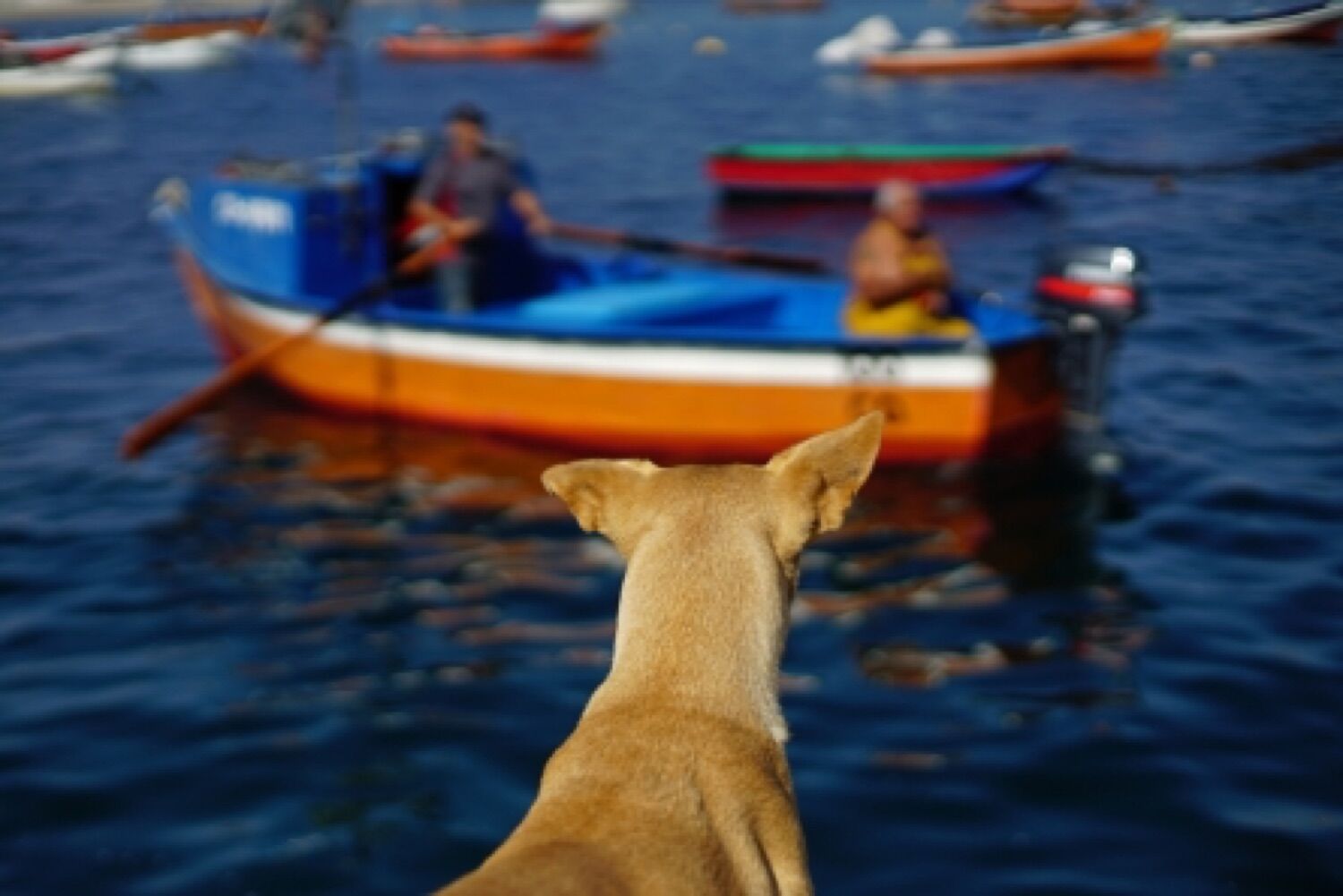 Pescadores y botes en una caleta